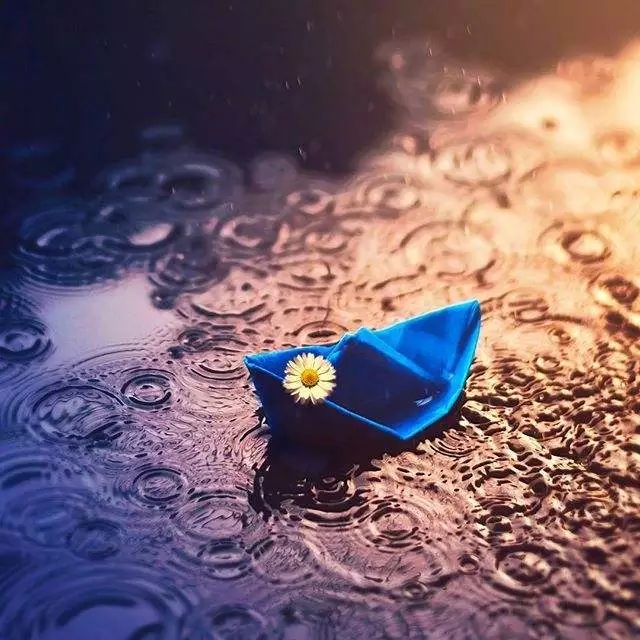 一例创伤后应激障碍疗愈报告